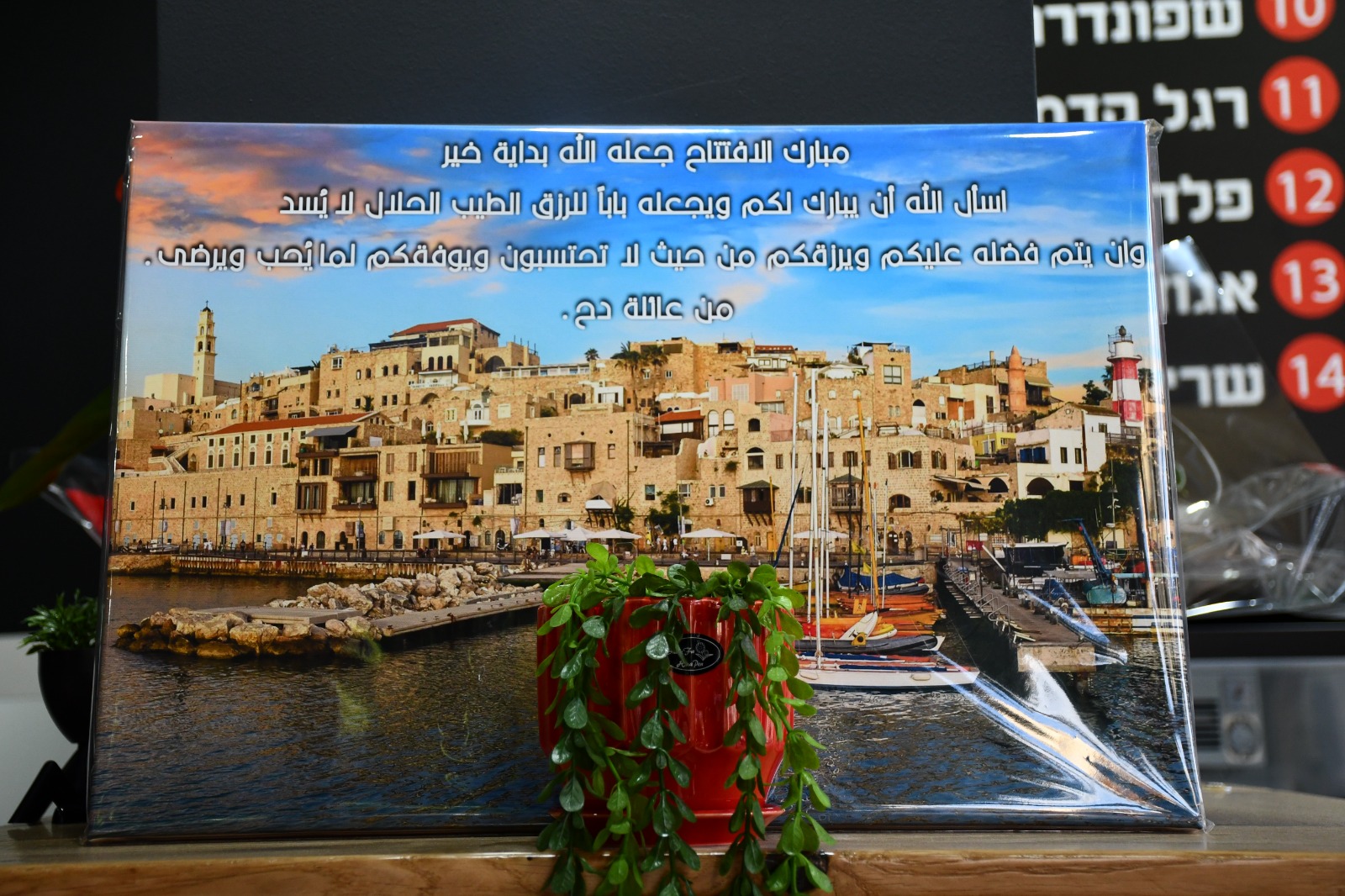 WhatsApp Image 2022-08-11 at 7.42.35 PM (3).jpeg